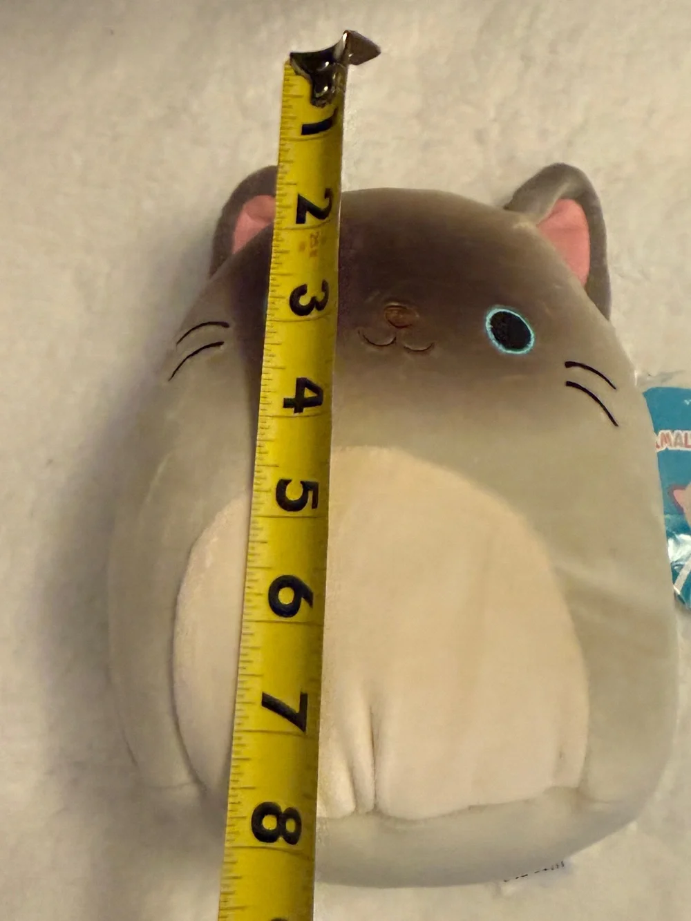 Squishmallow Siamese Plush Toy - Cream Cat Plush